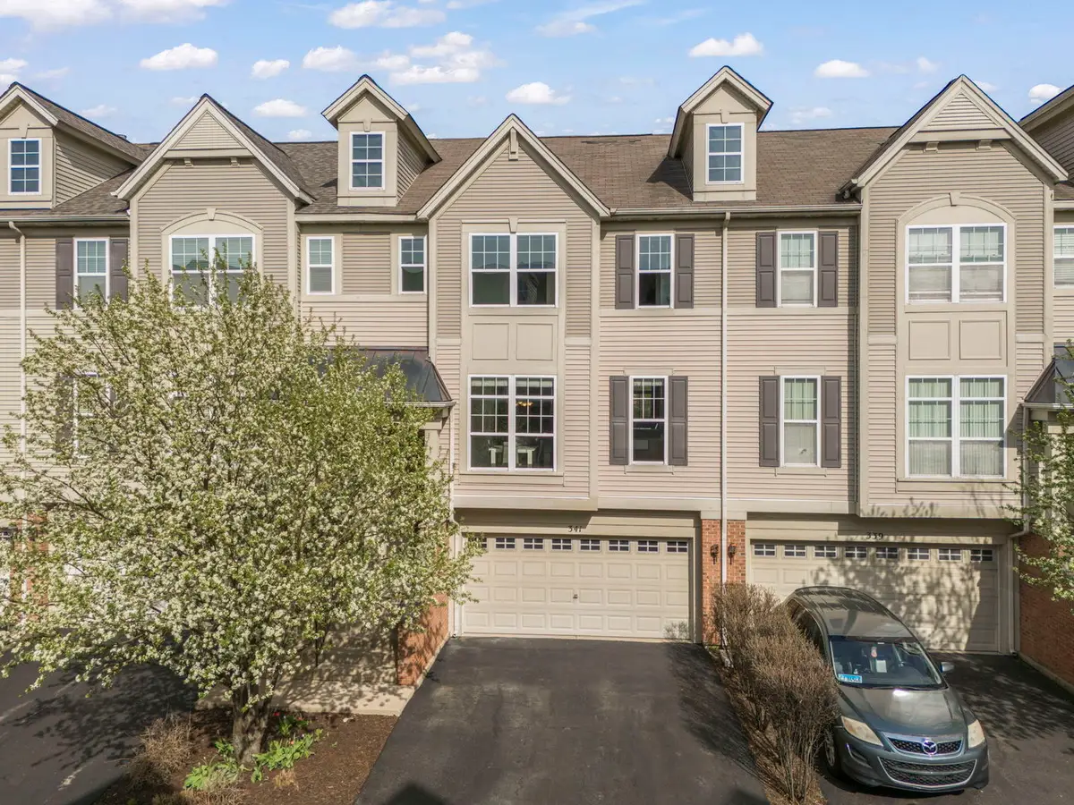 341 N Commerce Street, Aurora, IL 60504 - #1