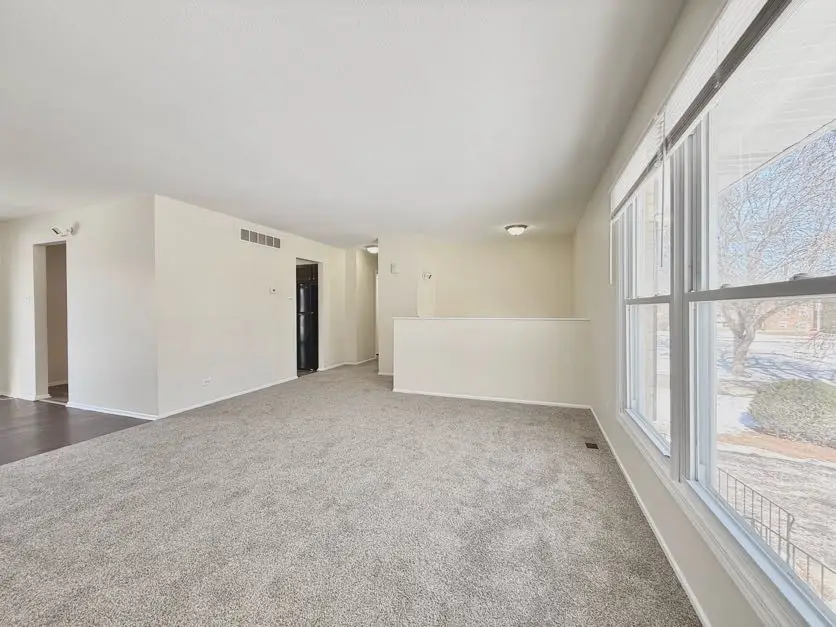 21616 Richmond Street, Matteson, IL 60443 - #2