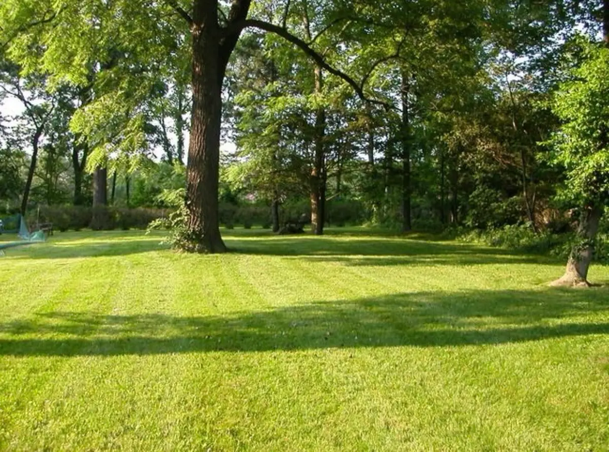 355 E Blodgett Avenue, Lake Bluff, IL 60044 - #1