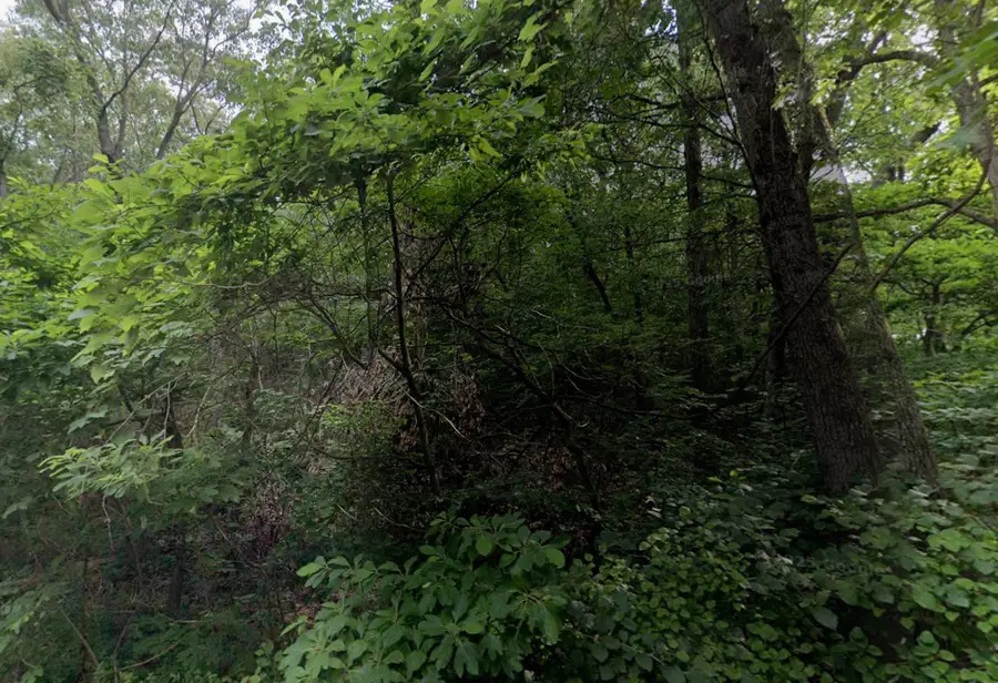 0 Pleasant Avenue, Beverly Shores, IN 46301 - #3