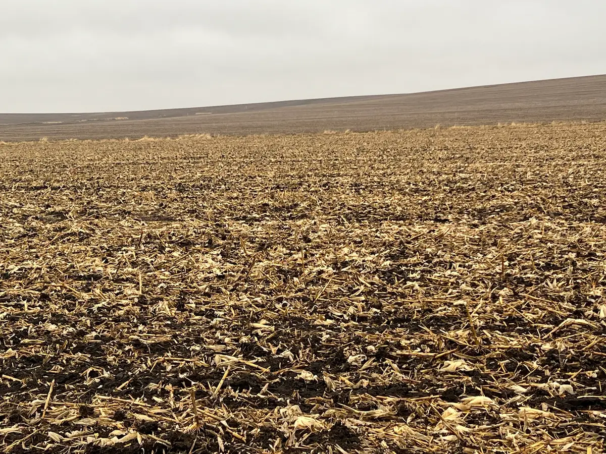 00 Allens Grove Road, Dixon, IA 52745 - #1