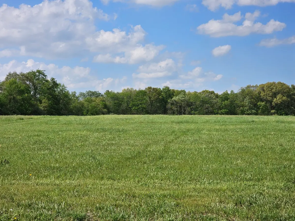 17225 N Akin Black Top Road N, Benton, IL 62812 - #1