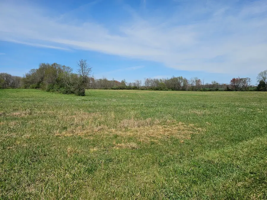 17225 N Akin Black Top Road N, Benton, IL 62812 - #3