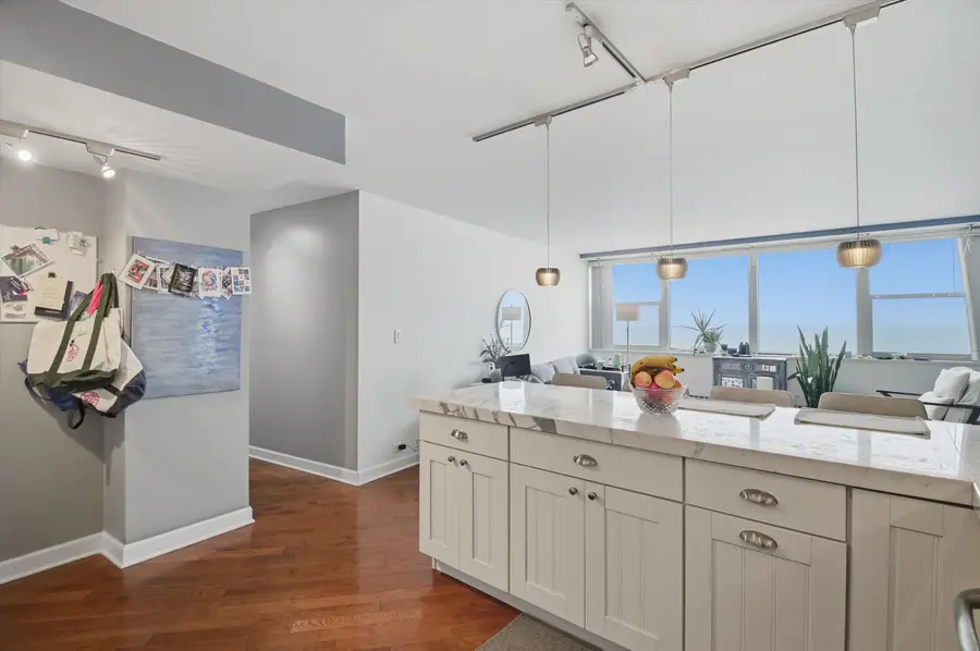 1150 N Lake Shore Drive #11D, Chicago, IL 60611 - #3