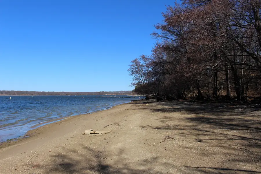 5751 White Pigeon Road, Weldon, IL 61882 - #3