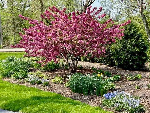 454 Harvard Avenue, Barrington, IL 60010 - #3