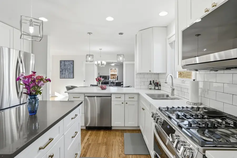 1201 S Knight Avenue, Park Ridge, IL 60068 - #3