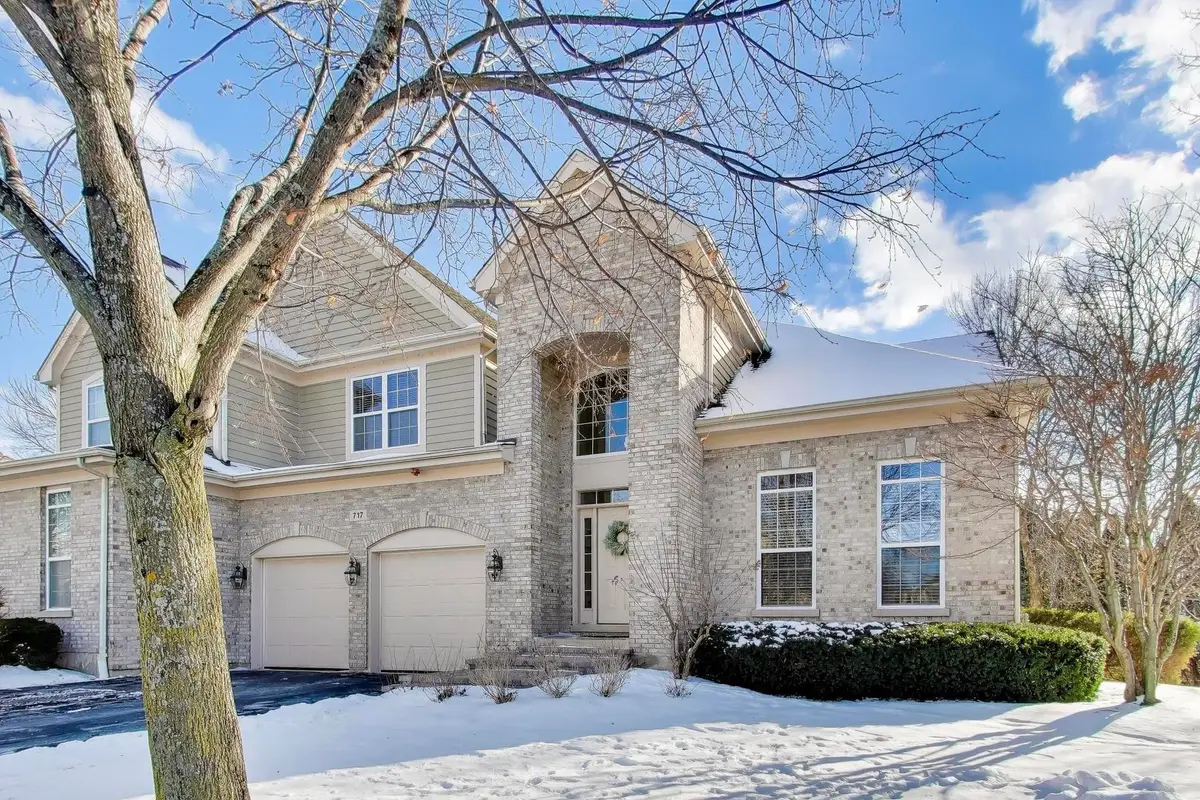 717 Stone Canyon Circle, Inverness, IL 60010 - #1