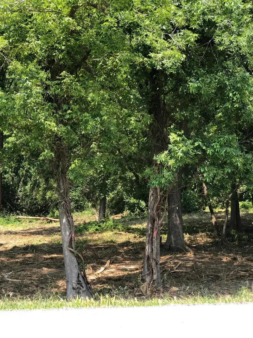 12940 Hadley #3 Hadley Road, Homer Glen, IL 60491 - #3