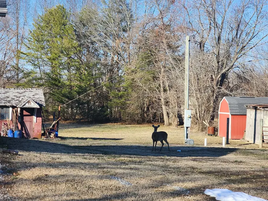 9721 Fox Hunters Road, Benton, IL 62812 - #3