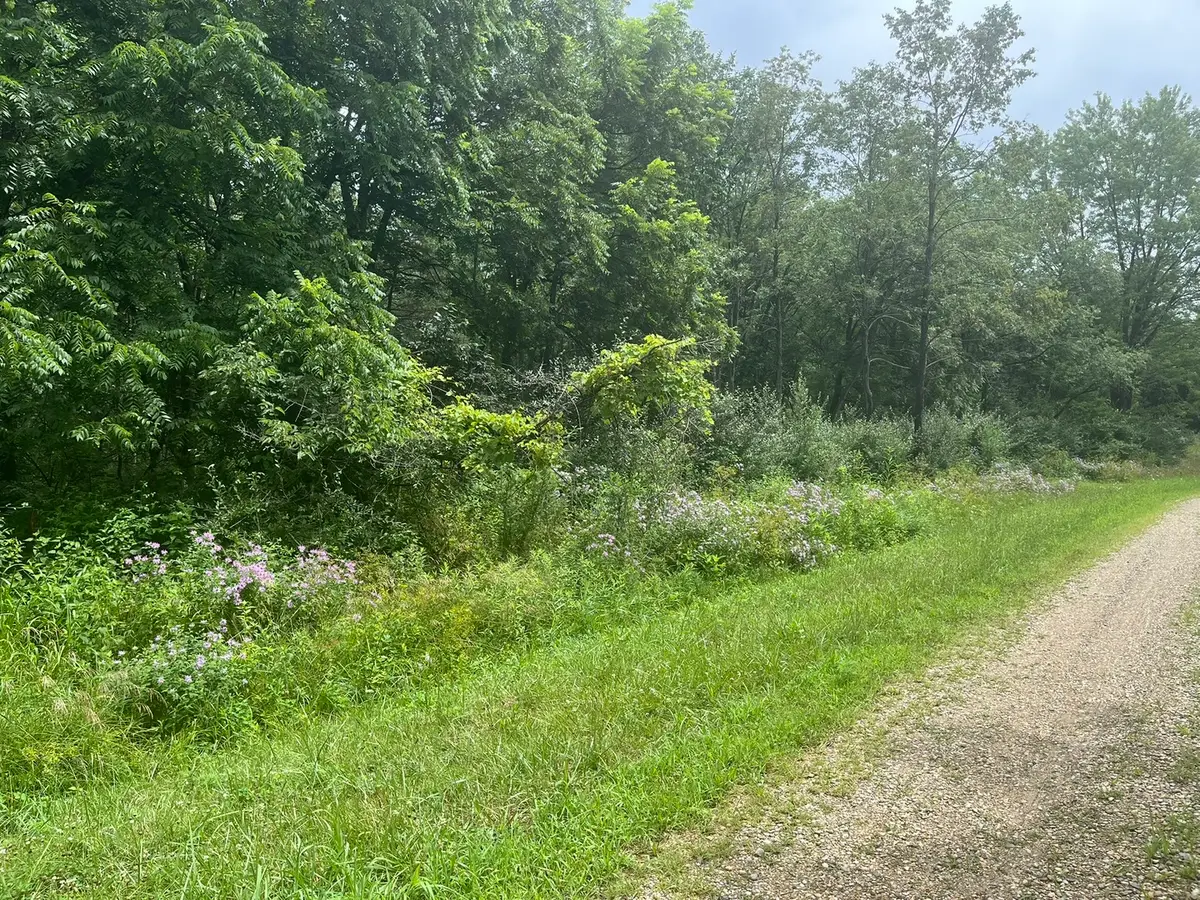 28 Cedar Lane, Putnam, IL 61560 - #1