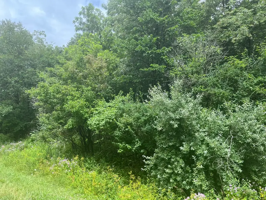 28 Cedar Lane, Putnam, IL 61560 - #3