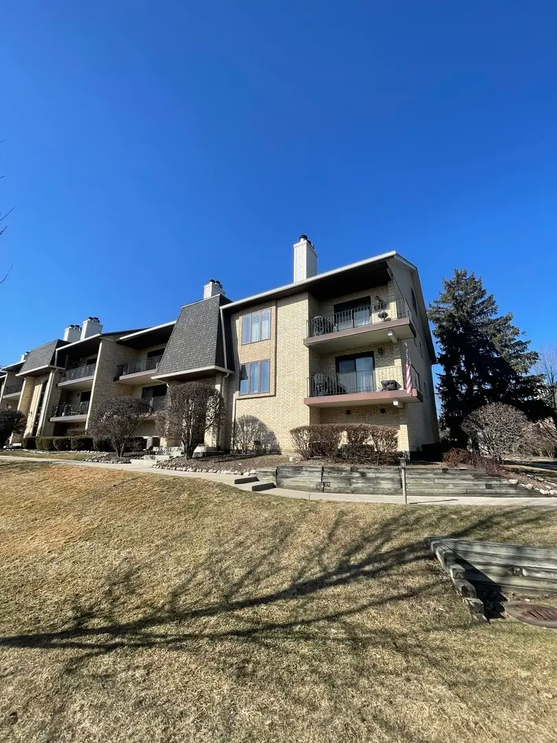 9169 Del Prado Drive #2E, Palos Hills, IL 60465 - #1