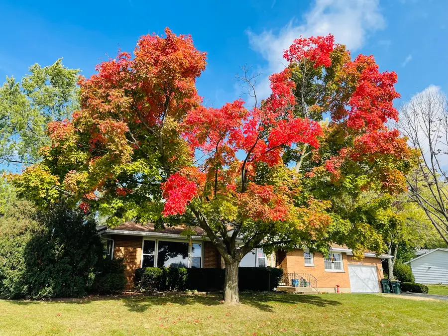 465 Poplar Avenue, Antioch, IL 60002 - #2