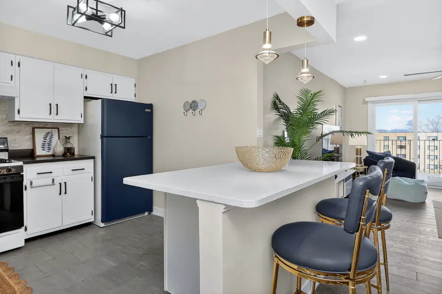 6630 S Brainard Avenue #409, Countryside, IL 60525 - #3