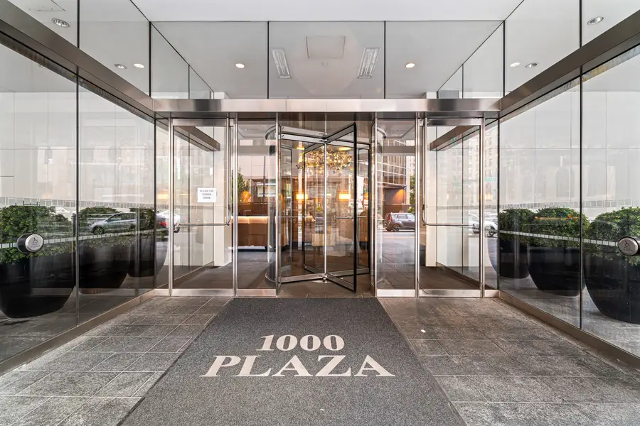 1000 N Lake Shore Plaza #49A, Chicago, IL 60611 - #2
