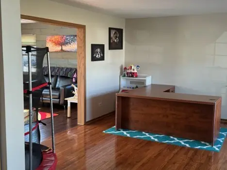 8111 Old Mill Road, Frankfort, IL 60423 - #3