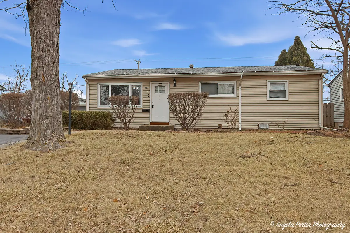 610 Larkdale Row, Wauconda, IL 60084 - #1