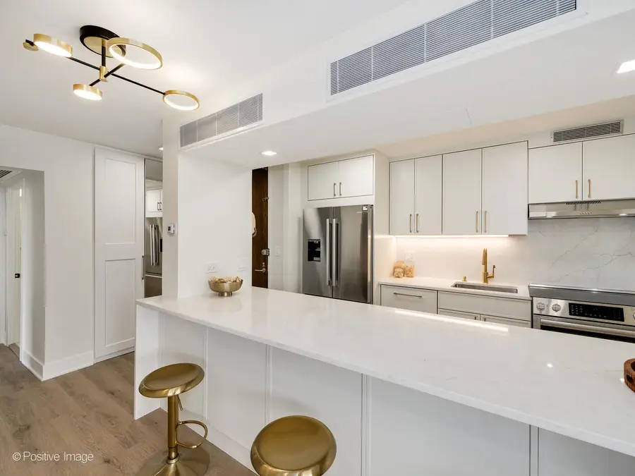 1310 N Ritchie Court #27B, Chicago, IL 60610 - #3