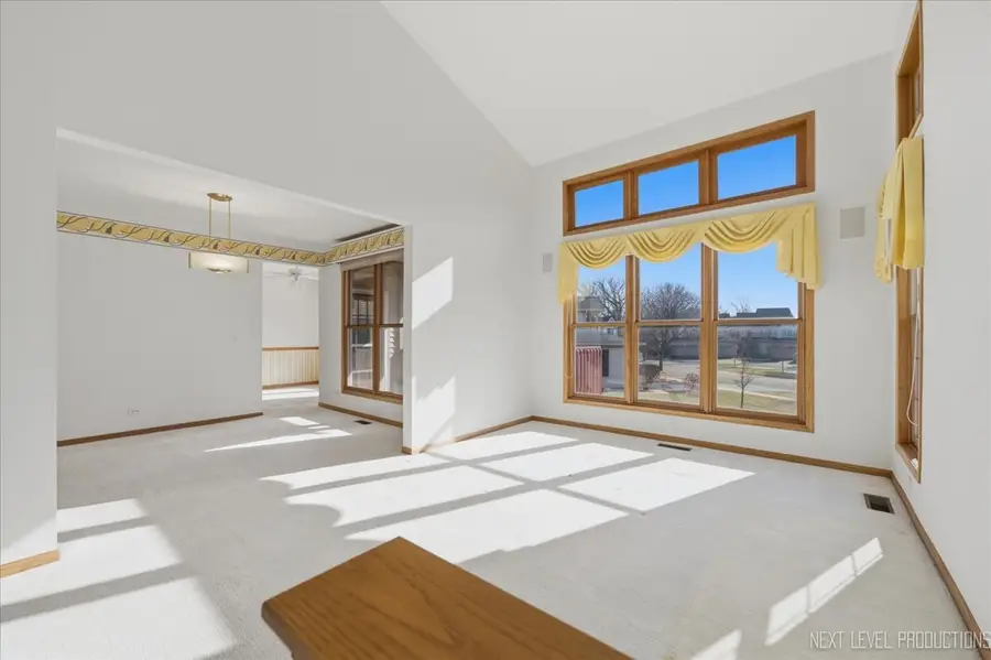 1546 Treeline Court, Naperville, IL 60565 - #3