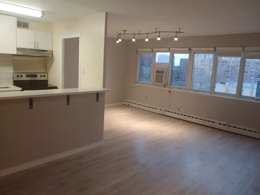 700 W Bittersweet Place #609, Chicago, IL 60613 - #2