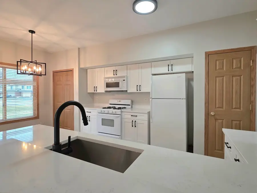 8237 Auburn Lane, Frankfort, IL 60423 - #3