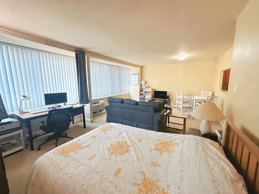 211 E Ohio Street #1605, Chicago, IL 60611 - #3