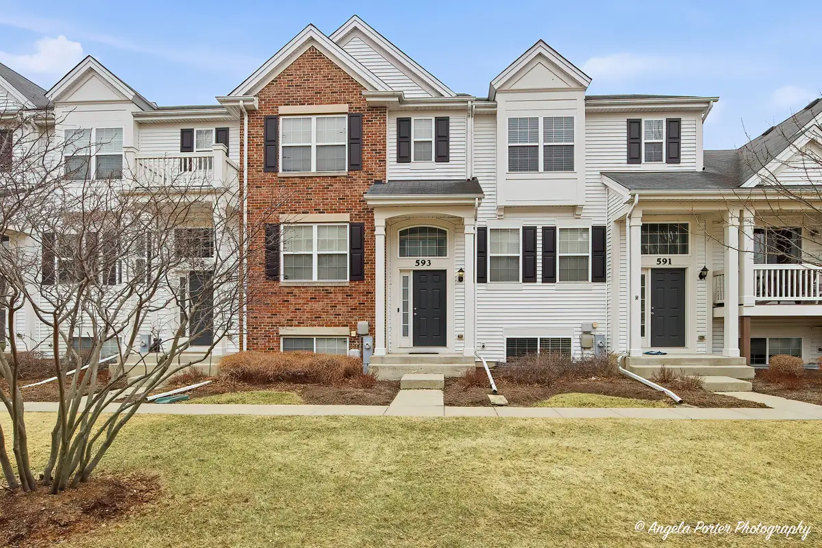 593 Treble Lane, Volo, IL 60073 - #1