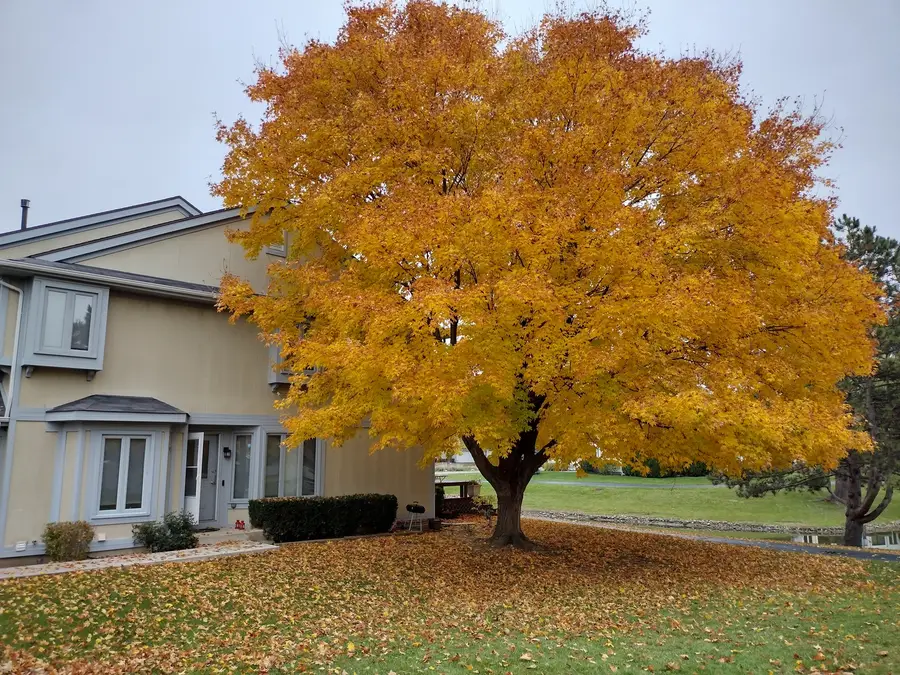 399 Catbird Lane, Deerfield, IL 60015 - #2