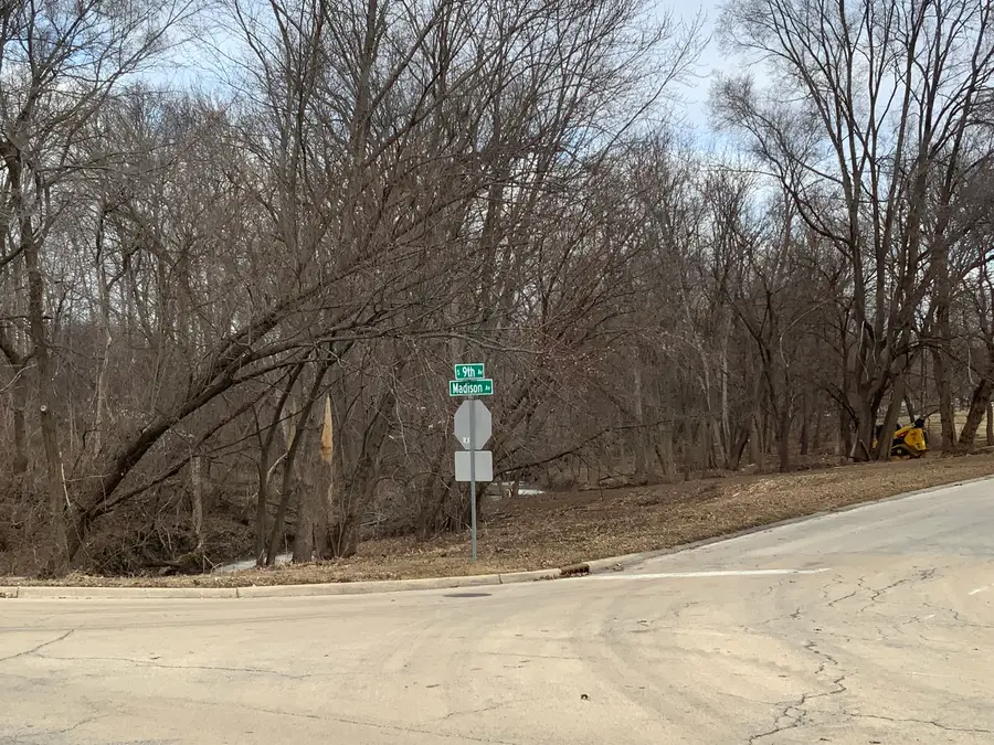 1009 S 9th Avenue, Saint Charles, IL 60174 - #3