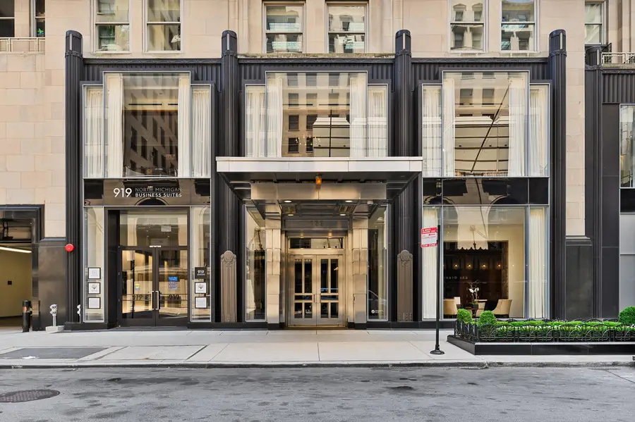 159 E Walton Place #13D, Chicago, IL 60611 - #2