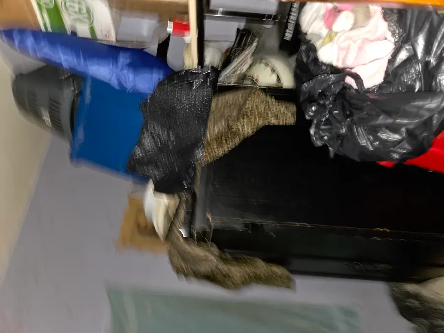 8414 S Buffalo Avenue, Chicago, IL 60617 - #2