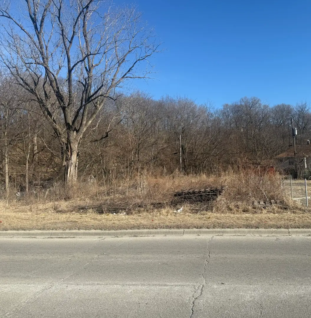 2209-11 S State Street, Lockport, IL 60441 - #1