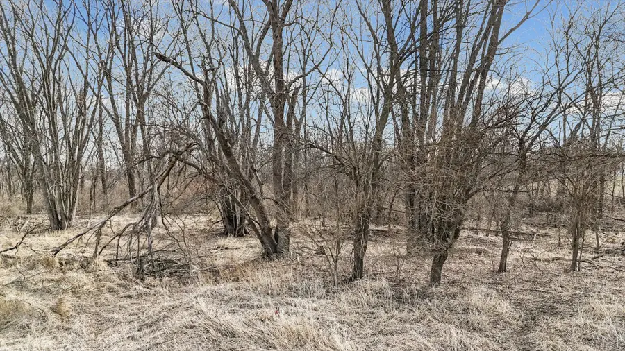 N 2545 E Road, Farmer City, IL 61842 - #3