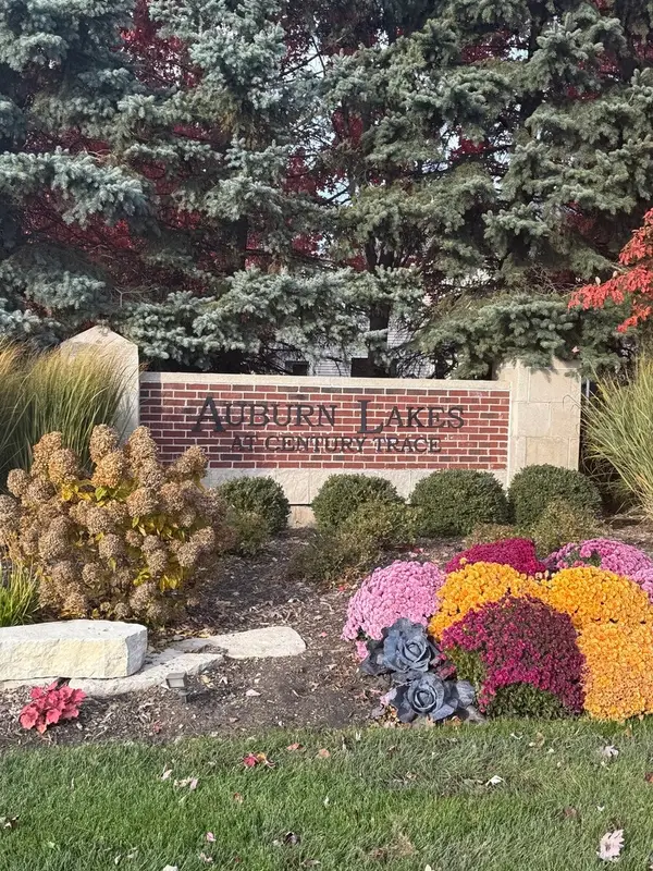 24944 W Franklin Lane, Plainfield, IL 60585