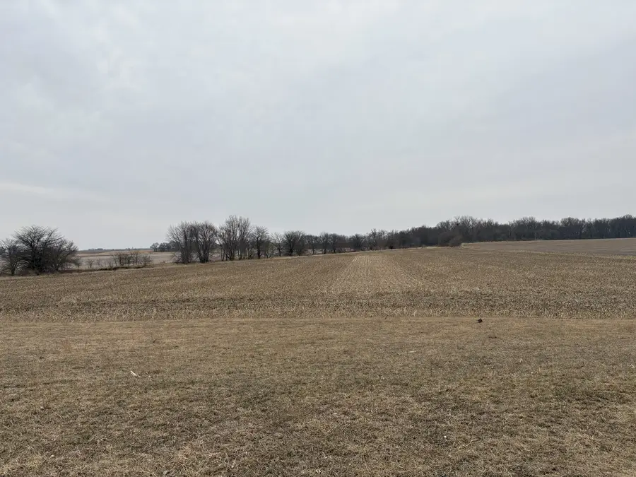 3503 E 1000 North Road, Stanford, IL 61774 - #2