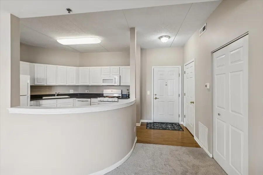 3100 Town Square Drive #308, Rolling Meadows, IL 60008 - #2