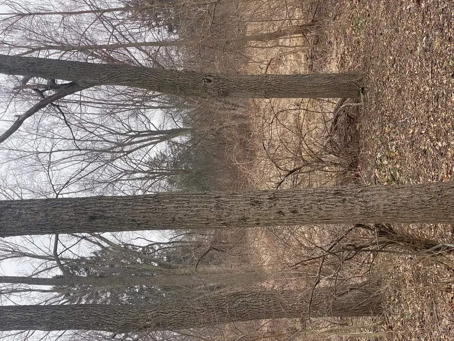 21177 N Valley Road, Kildeer, IL 60047 - #2