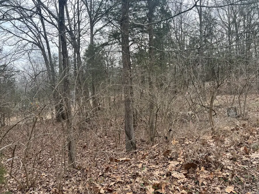 Lot 14 Jill Lane, Goreville, IL 62939 - #3