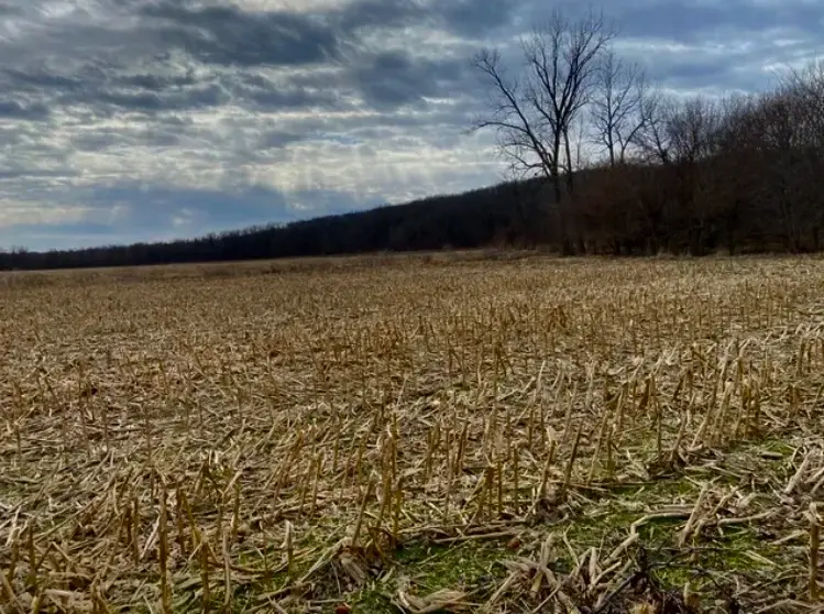 1489 E 2723rd Lane, Clayton, IL 62324 - #1