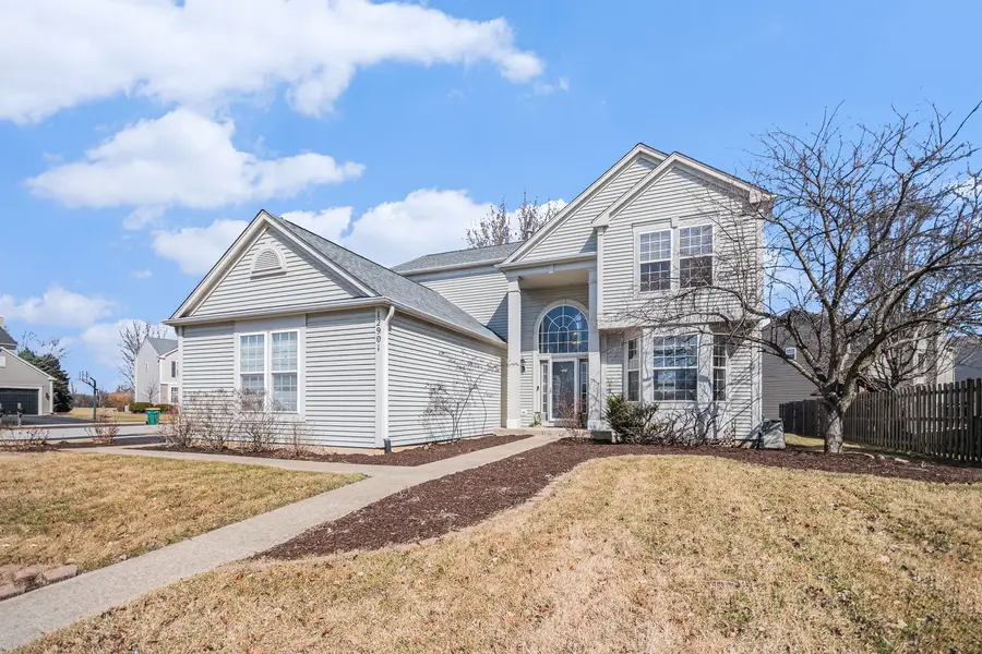 12901 Norwich Street, Plainfield, IL 60585 - #3
