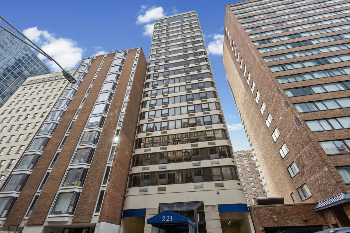 221 E Walton Place #13C, Chicago, IL 60611 - #1