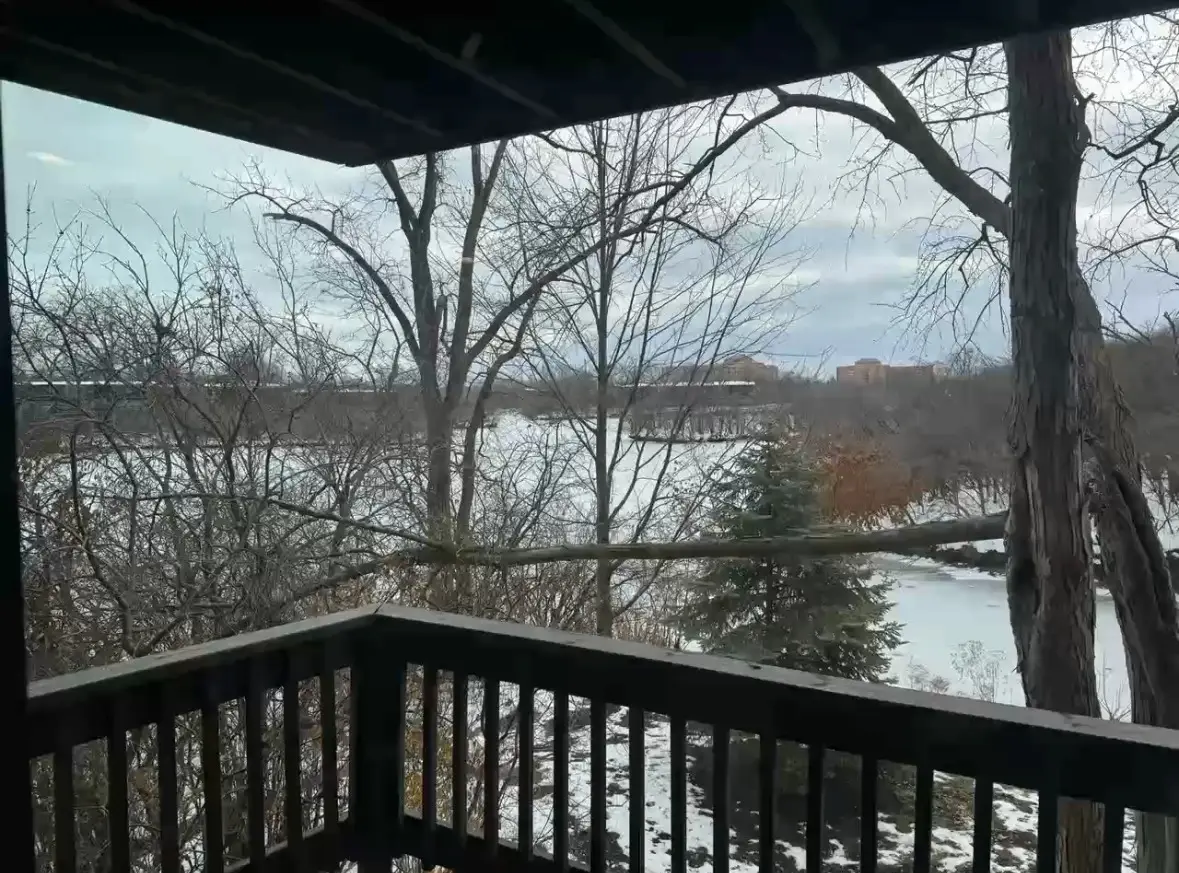 1615 Maple Terrace #115-1L, Lisle, IL 60532 - #1