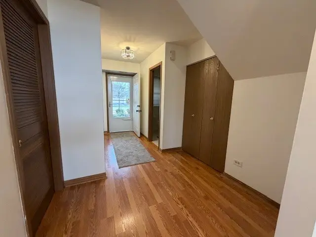 16146 Bormet Drive, Tinley Park, IL 60477 - #3