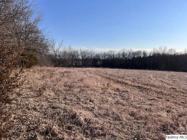 Sec 16 E 2150th Place, Liberty, IL 62347 - #1