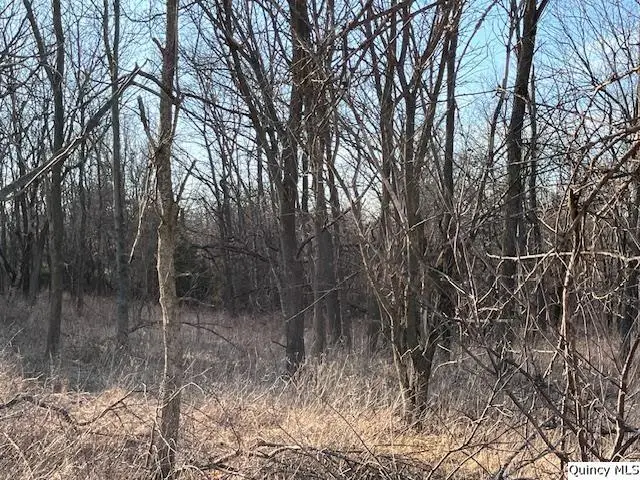 Sec 16 E 2150th Place, Liberty, IL 62347 - #2