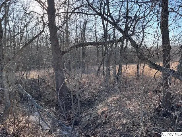 Sec 16 E 2150th Place, Liberty, IL 62347 - #3