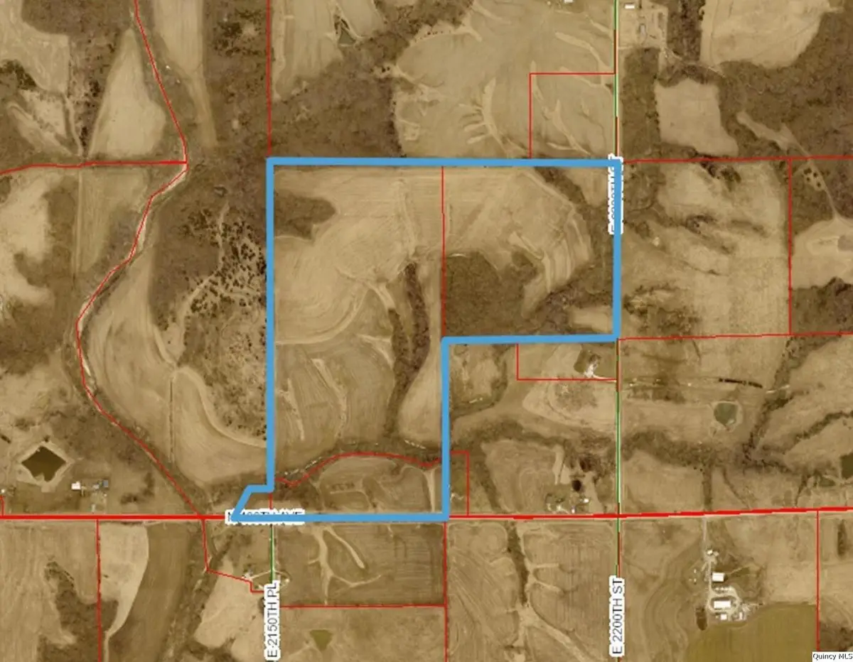 Sec 9 N 400th Avenue, Liberty, IL 62347 - #1