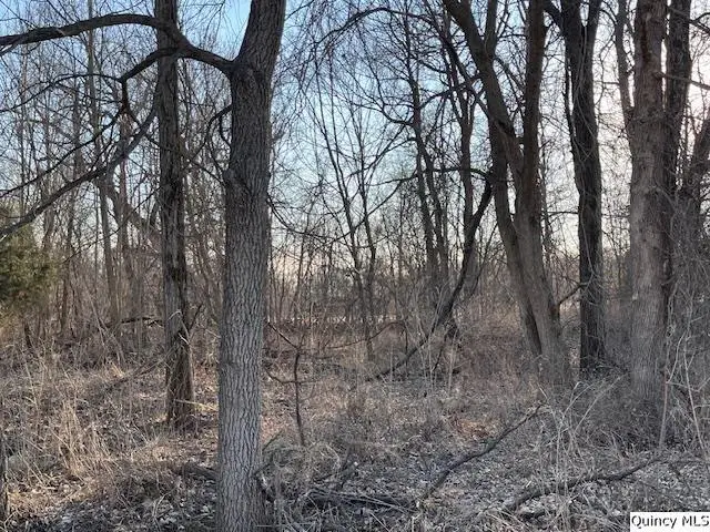 Sec 9 N 400th Avenue, Liberty, IL 62347 - #3