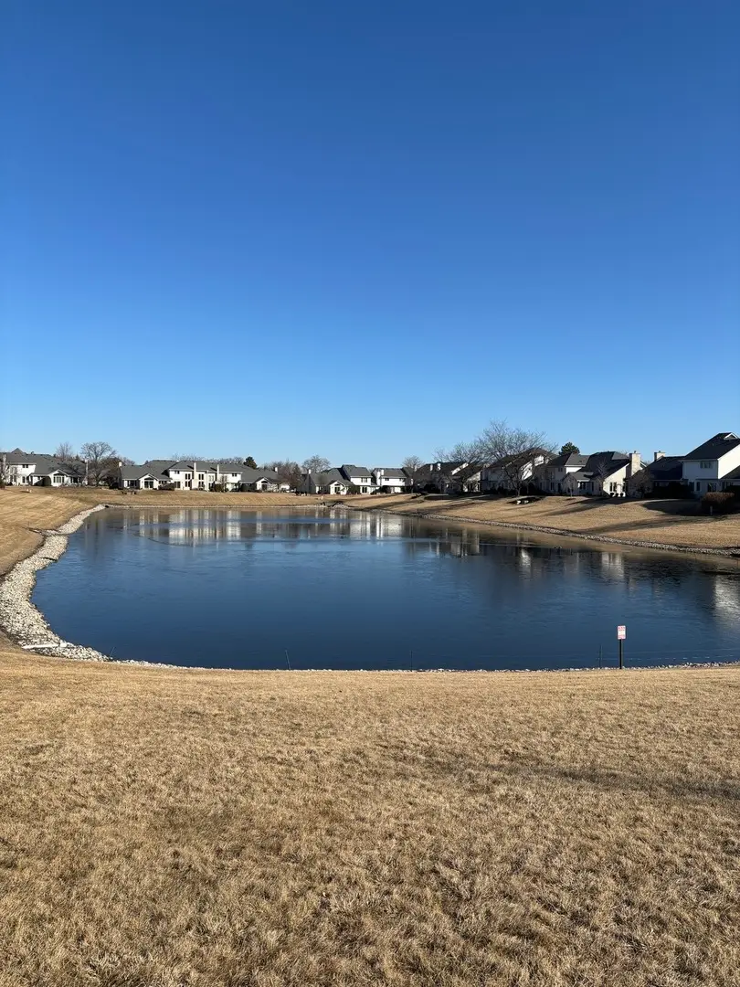 8925 Pheasant Lake Drive, Tinley Park, IL 60487 - #2